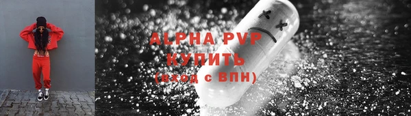 индика Каменногорск