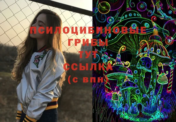 индика Каменногорск