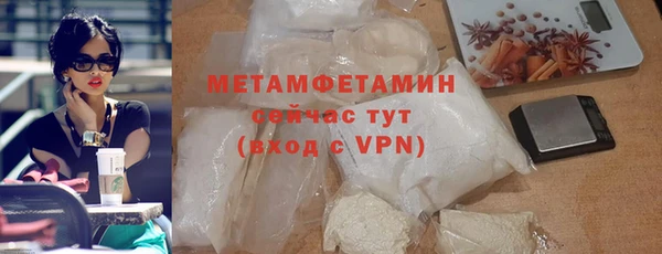 индика Каменногорск