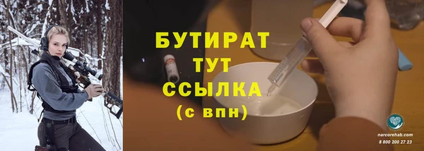 индика Каменногорск