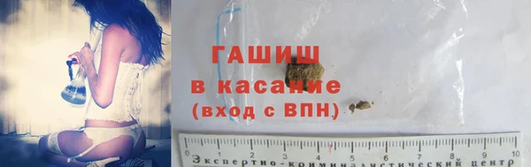 индика Каменногорск