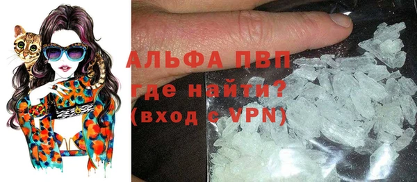 индика Каменногорск