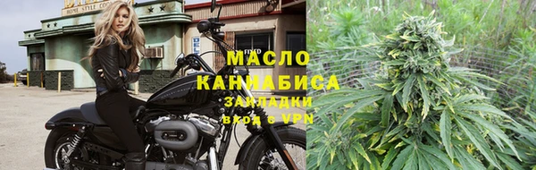 индика Каменногорск
