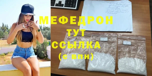 индика Каменногорск