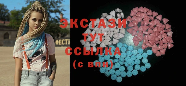 индика Каменногорск