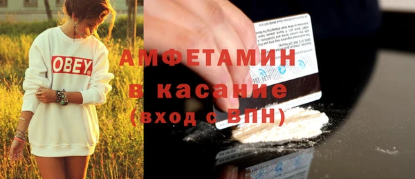 индика Каменногорск
