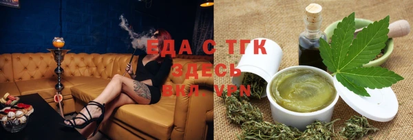 индика Каменногорск