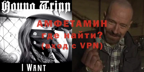 индика Каменногорск